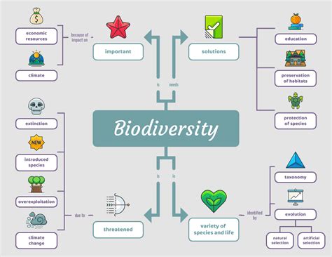 Concept Map For Biology