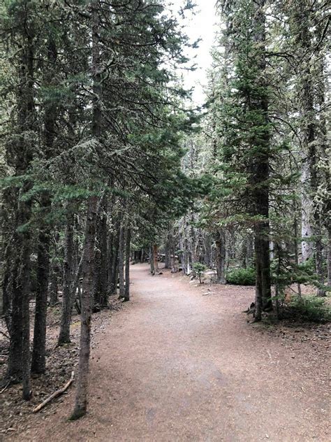 Photos of Echo Lake Trail - Colorado | AllTrails