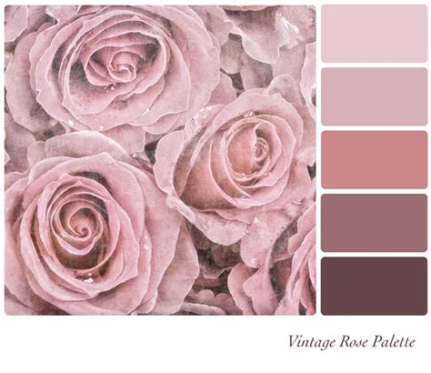 Vintage Rose Palette — Stock Photo © rixipix #27895503