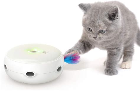 The 10 Best Interactive Cat Toys of 2021 - I Love My Sweet Cats