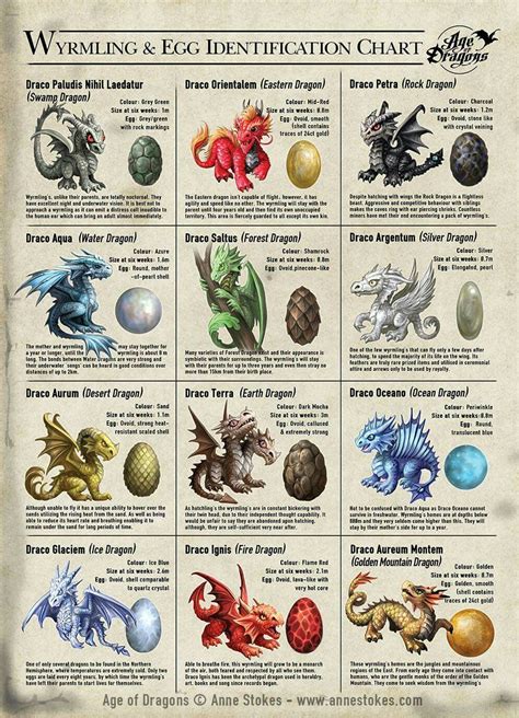 96 best ideas for coloring | Dragon Types Dnd 5e