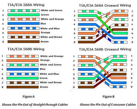 Amaravathi Tech: The Difference Between Straight Through, Crossover, And Rollover Cables