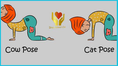 11 Easy kneeling Yoga Poses For Beginners.