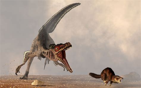 10 Facts About the Velociraptor Dinosaur