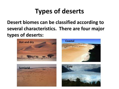 PPT - BIOME DESERT PowerPoint Presentation, free download - ID:2084511