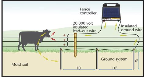 50 How to Wire An Electric Fence Diagram Rj0w | Fence charger, Electric fence, Electric fence ...