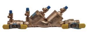 Double Check Valve | Briscoe Protective