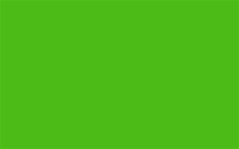 Green Color Background Wallpaper