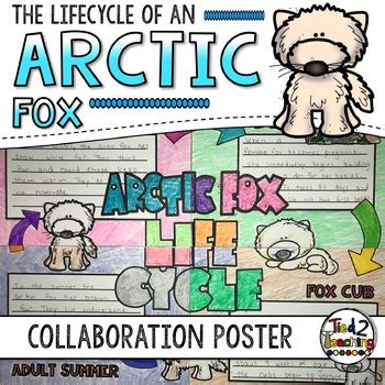 Arctic Fox Life Cycle Activity: Collaborative Research Poster | TpT