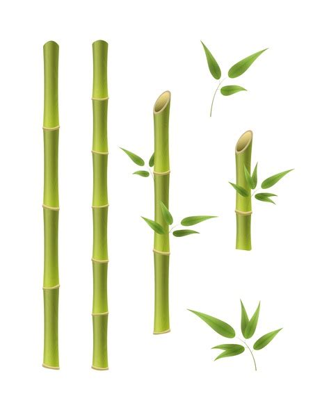 Bamboo Tree Background: Over 29,220 Royalty-Free Licensable Stock Vectors & Vector Art ...