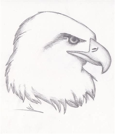 Cool Animal Drawing at GetDrawings | Free download