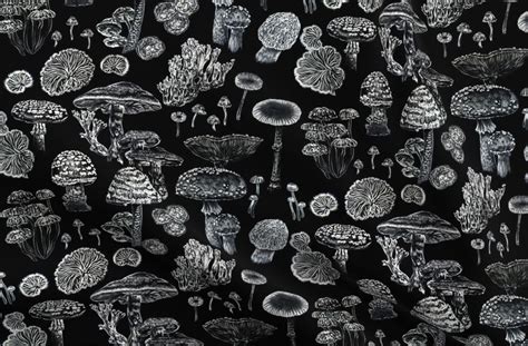 Mushrooms Black White Witchy Pattern Fabric | Witchy wallpaper, Witch wallpaper, Art wallpaper