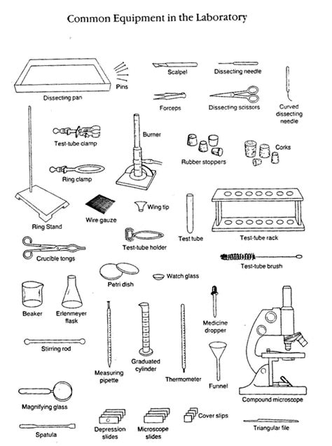 School Science Lab Equipment List