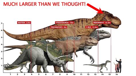 Sự So Sánh Giữa Stegosaurus Và T-Rex - Countrymusicstop.com