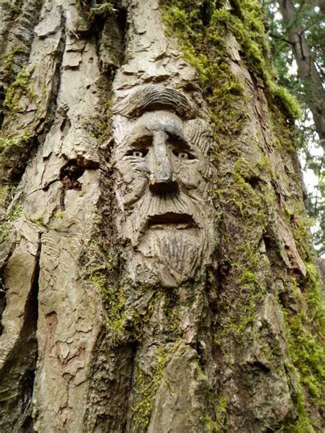 40 Amazing (Tree) Wood Carving Pictures