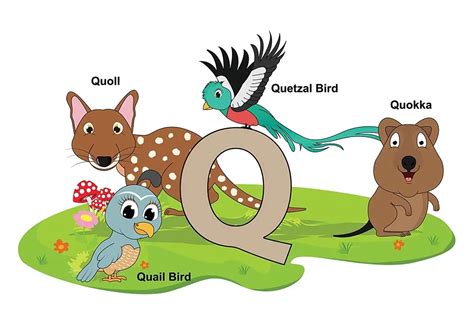 Animals That Start With the Letter Q: Quirky & Quaint!