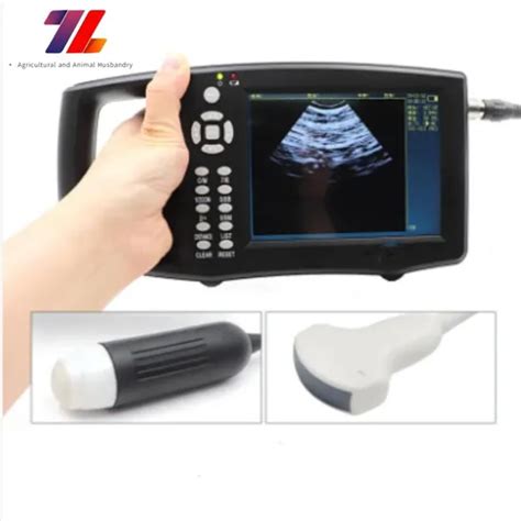 Handheld Veterinary Ultrasound Scanner for Cow/Horse/Goat/Pregnant Pig Ultrasound Scan Echograph ...