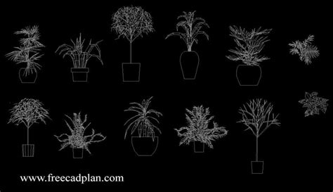 plants in pot 2d cad block - dwg autocad - free cad plan