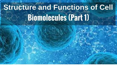 Structure and Functions of Cell- Biomolecules (Part 1) - YouTube