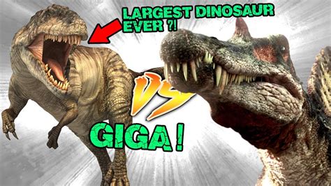 Spinosaurus Vs Giganotosaurus Who Would Win