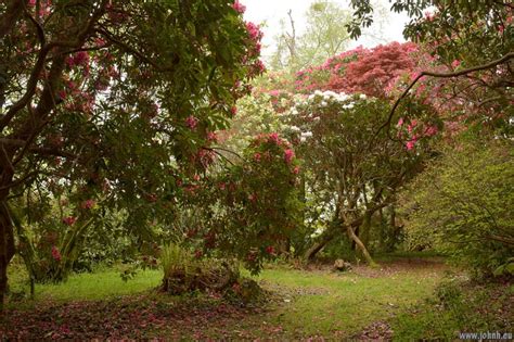 Muncaster Castle Gardens, Eskdale