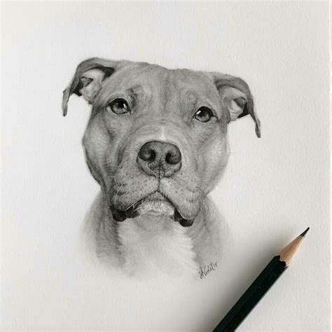 Artist Makes Realistic Pet Portraits Using Only A Pencil, Here Are The Best 49 Works | Bored Panda