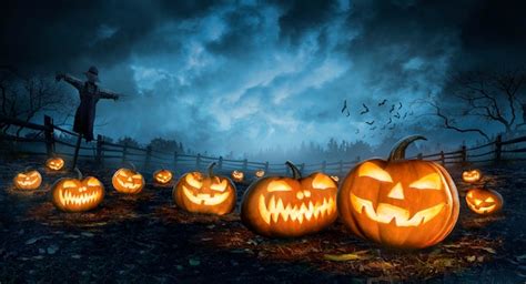 Free Photo | Halloween wallpaper with evil pumpkins