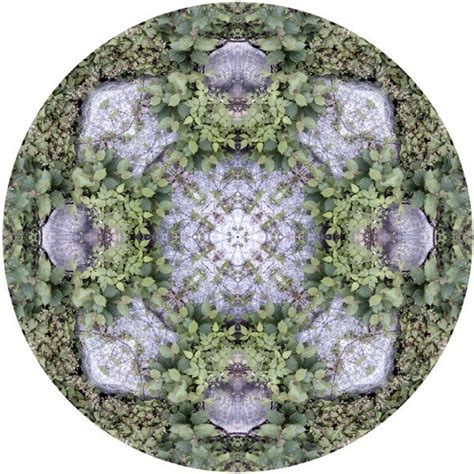 Mandala Art - Fine Art Nature Mandala Print by Allison Trentelman. | Rocky Top Studio