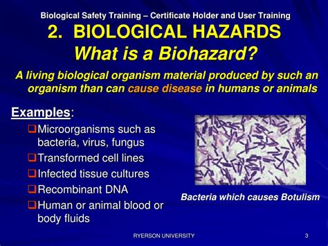 PPT - 2. BIOLOGICAL HAZARDS PowerPoint Presentation, free download - ID:5799153