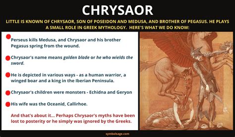 Chrysaor: Medusa's Other Offspring and His Hidden Story - Symbol Sage