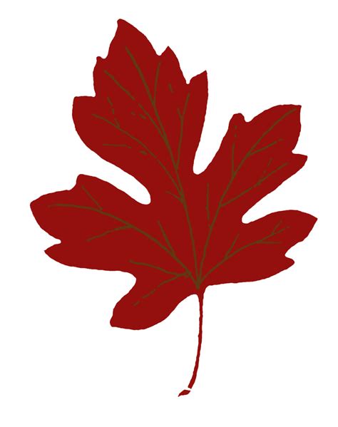 14 Maple Leaf Clipart! - The Graphics Fairy