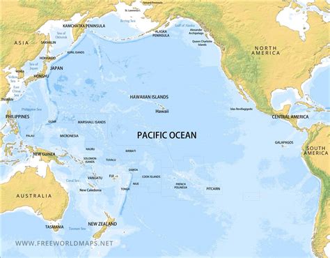 The Pacific Ocean: All you need to know - Zureli - Zureli