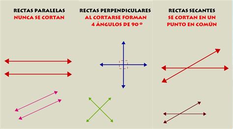 COUSA DE MESTRES: LÍNEAS, RECTAS Y ÁNGULOS.