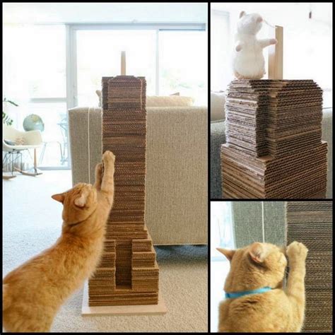 Diy Cat Scratcher Box / DIY Cat Scratcher | Cat diy, Cat scratcher, Diy cat scratcher - Don't ...