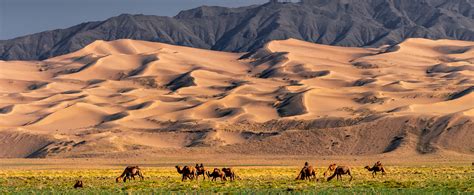 Gobi Desert & Central Mongolia Tour: Perfect tour for first timers