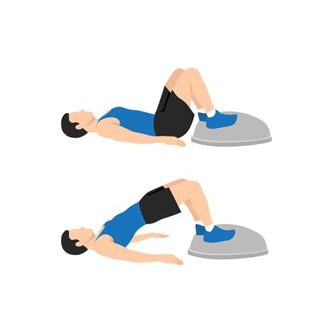 Man doing Bosu ball bridges hip raises. Glute bridges exercise. Flat vector illustration ...