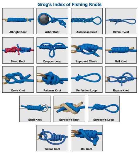 Survival Basics and How To Survive: Knots That Will Increase Your Chance For Survival