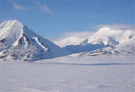 The tundra biome is an ecosystem situated near the North Pole and in the South Pole. It is by ...