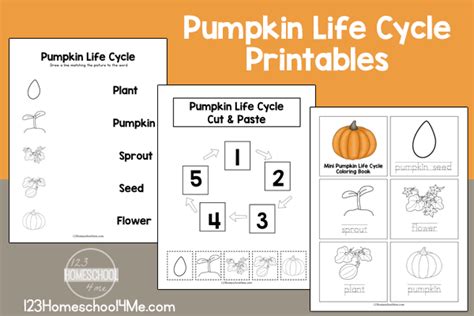 FREE Printable Pumpkin Life Cycle Worksheet s