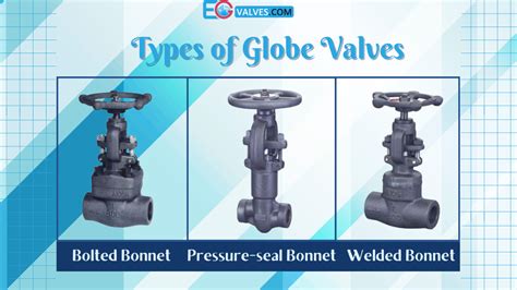 Globe Valve Types, Features & Applications - EG Valves