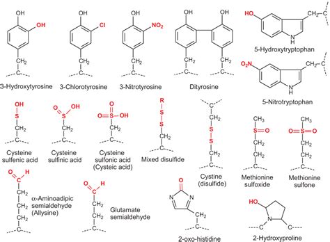 Biomolecules | Free Full-Text | Mass Spectrometry-Based Methods for Identifying Oxidized ...