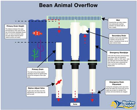 How To Prevent Sump Overflow - Battlepriority6