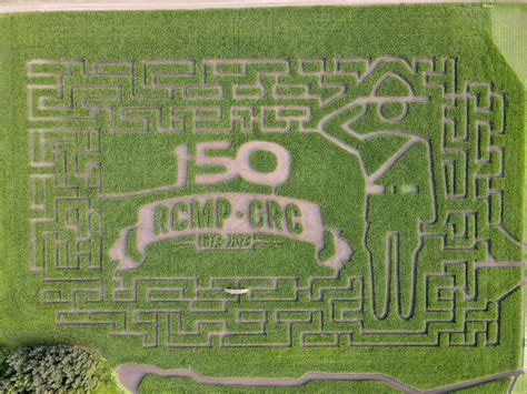 Maze | Edmonton's original corn maze