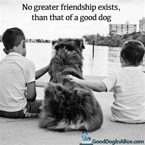 Dog Quotes: Friendship - Good Dog in a Box