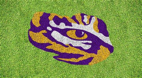 LSU Tiger Eye Stencil Kit - XL LSUOOS-003 - U-Stencil - A Stencil Universe