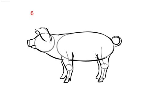 Pig Drawing Ideas How to draw a Pig Step by Step