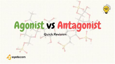 Agonist vs Antagonist - Pharmacology