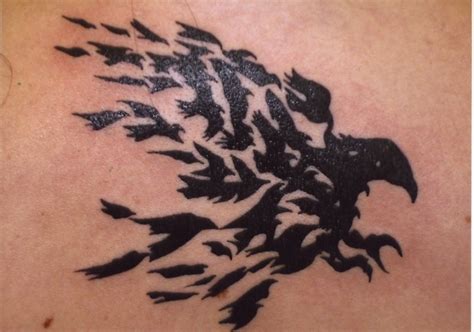 Pin on ravens and black birds