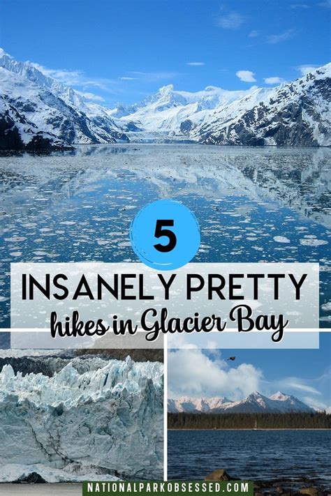 5 ABSOLUTE Best Hikes In Glacier Bay National Park For 2022 - National Park Obsessed