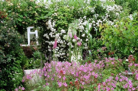 Plants For a Traditional Cottage Garden